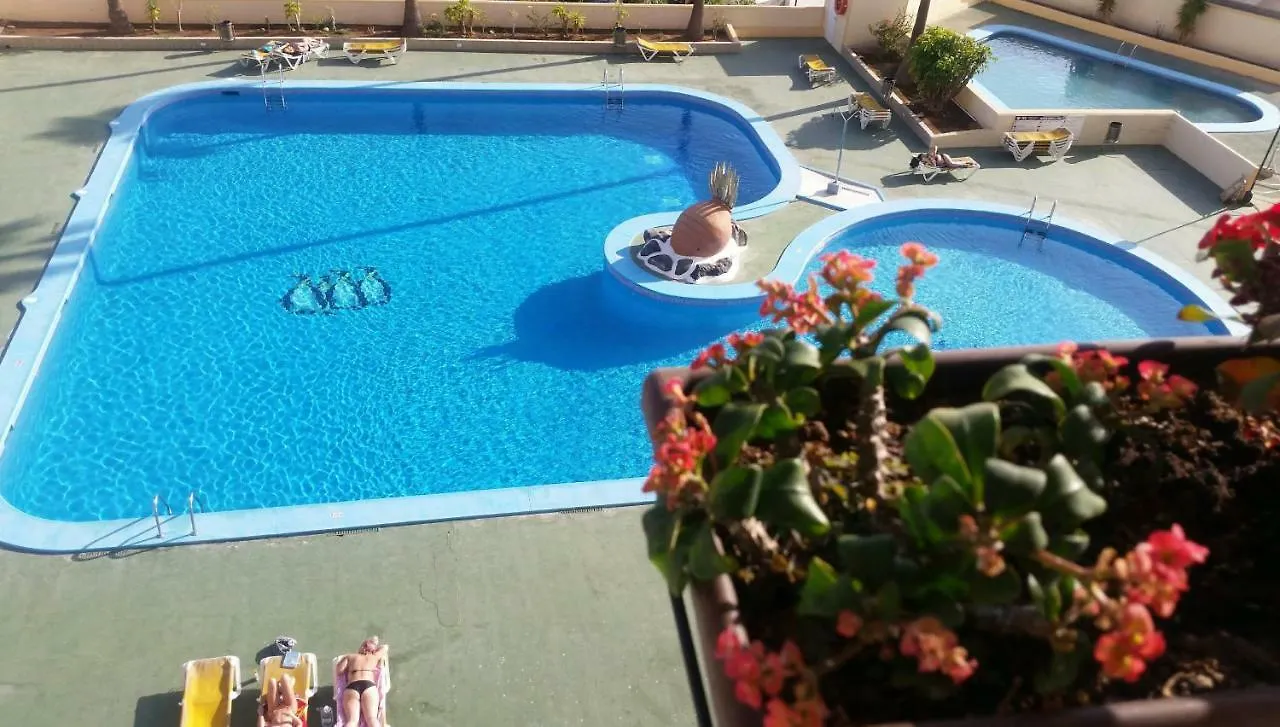 Playa De Las Americas Apt Apartment Arona